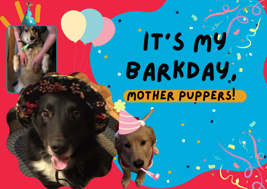 it's my Barkday, Mother Puppers!